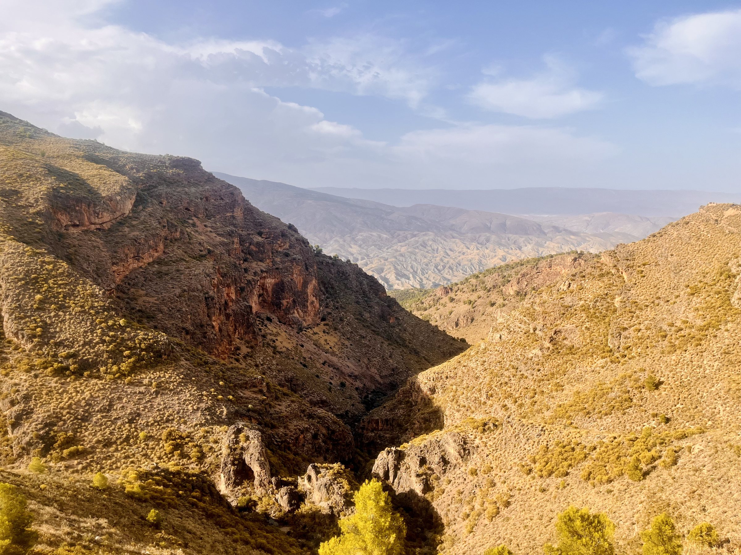 A deep canyon of red rock and yellow scrub in low sun, opening onto pale eroded hills.